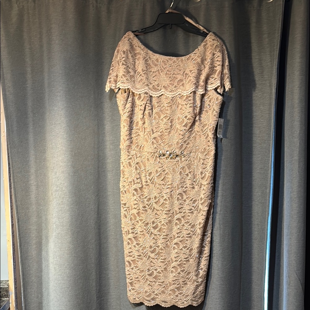 Champagne Off-Shoulder Lace Sheath Dress